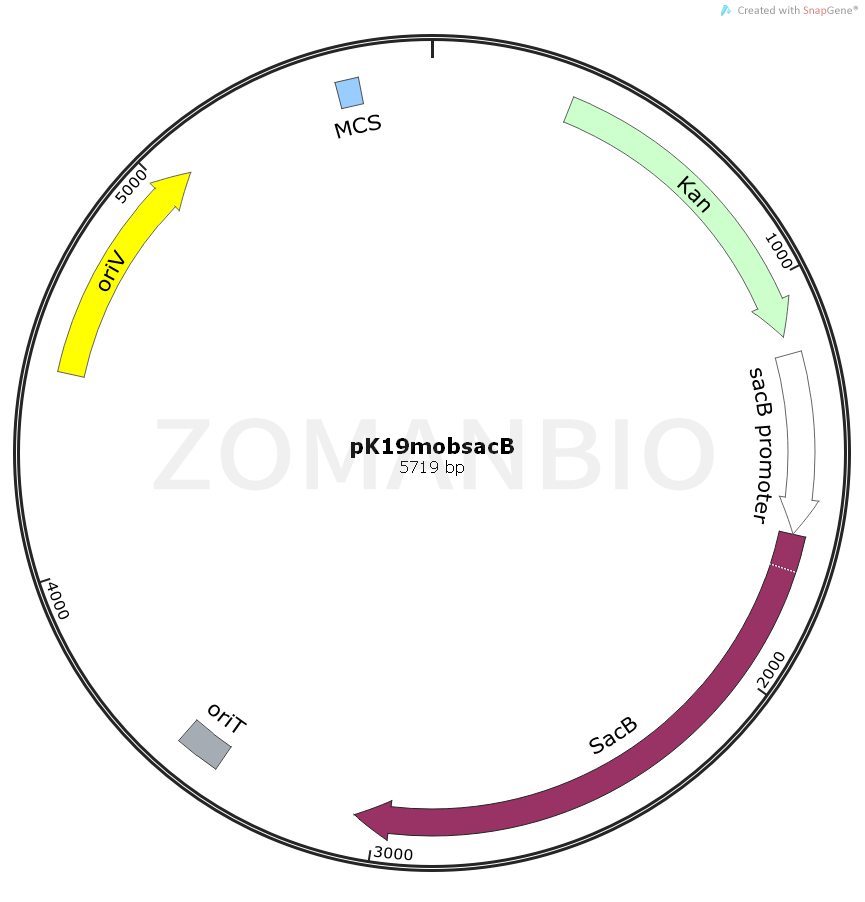 ZK1643 pK19mobsacB.png