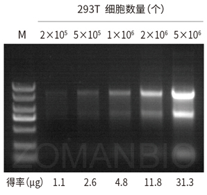 23 ZP433圖1.jpg 圖片