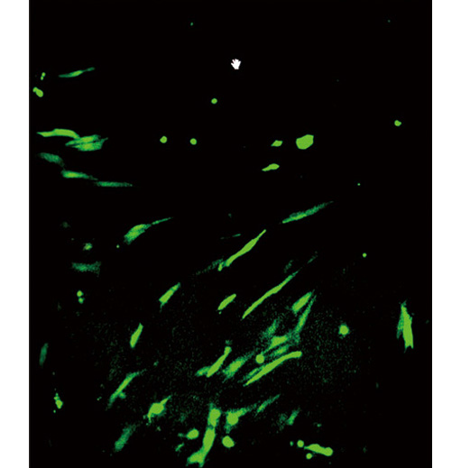 23.9 ZC305 下圖6.jpg