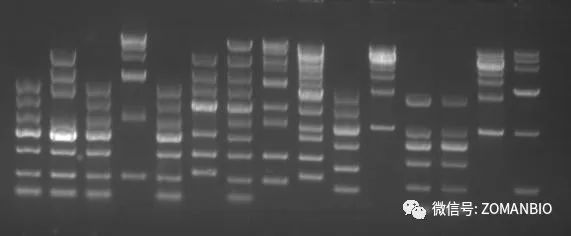 22.6 本公司red2.0.jpg